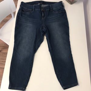 Torrid Denim 22S